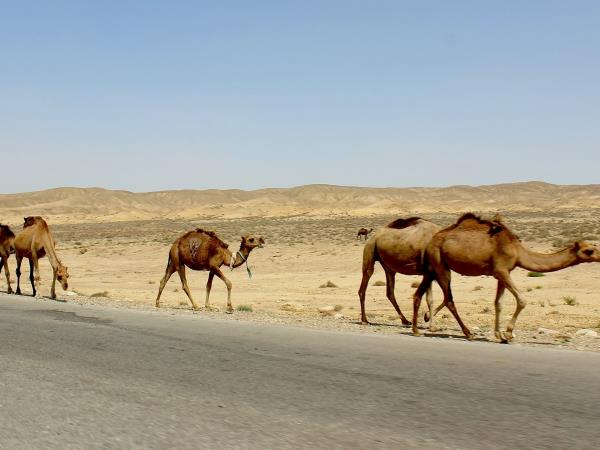 Turkmenistan tailormade holiday