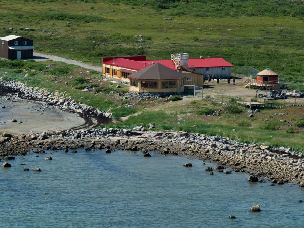 Arctic Canada wildlife holiday, birds, bears & belugas