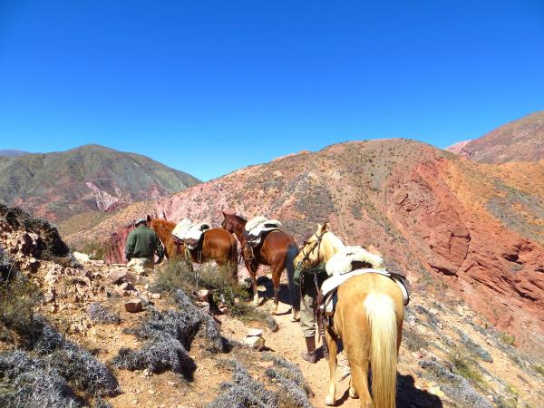Argentina horseriding holiday in Province of Salta and Jujuy