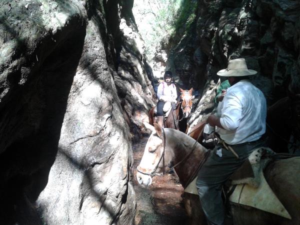 Argentina horseriding holiday in Province of Salta and Jujuy