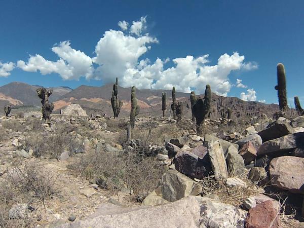 Argentina horseriding holiday in Province of Salta and Jujuy