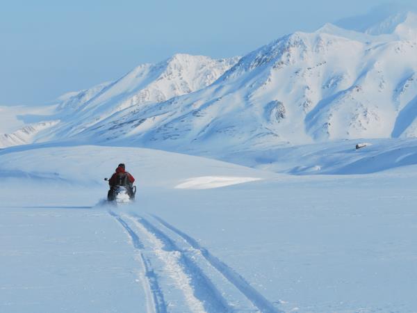 Lofoten Islands and Svalbard northern lights safari