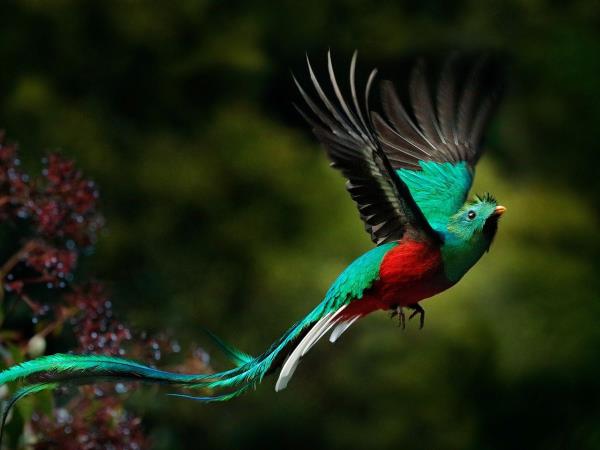Tailor made Costa Rica highlights holiday