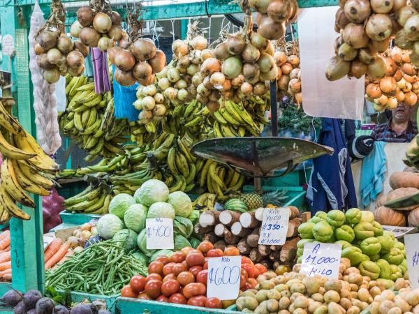 Tailor made Costa Rica highlights holiday