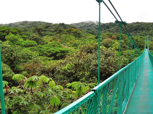 Tailor made Costa Rica highlights holiday
