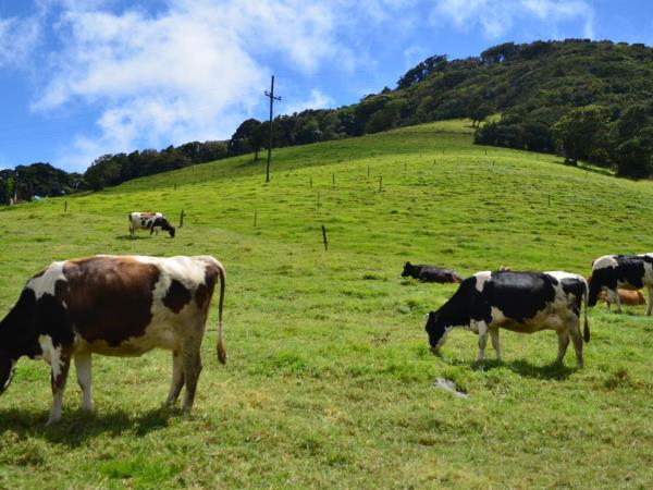 Costa Rica family adventure holiday, tailor made