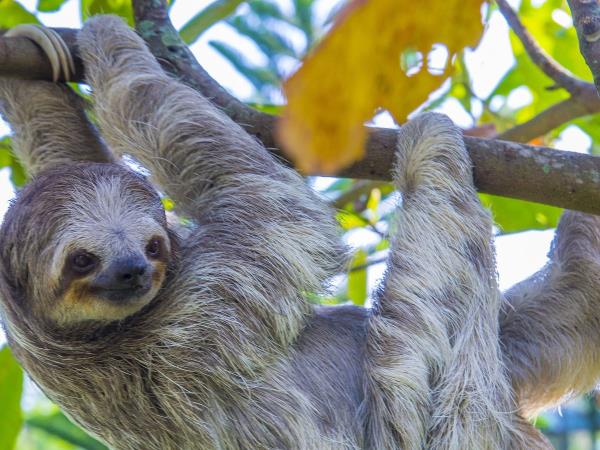 Costa Rica family adventure holiday, tailor made