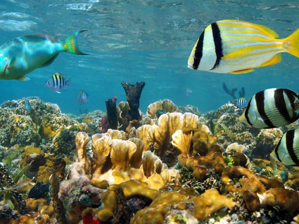 Costa Rica Coast to Coast tour, private departure