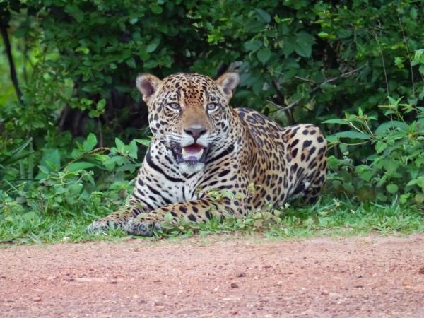 Guyana tailor made tour