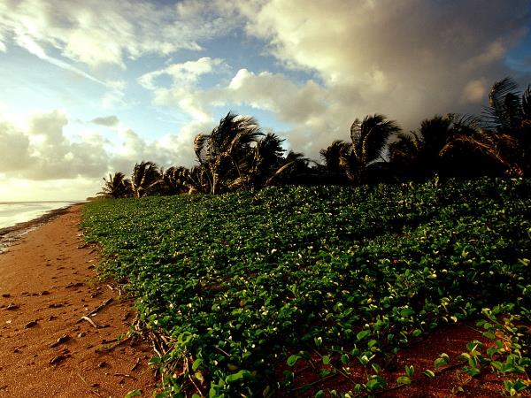 Guyana tailor made tour