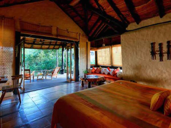 India wildlife and tiger safari