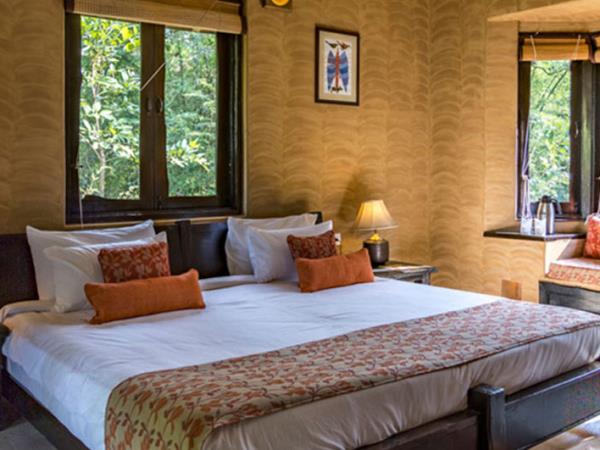 India wildlife and tiger safari