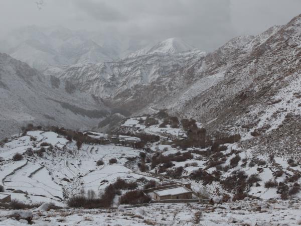 Snow leopard tracking in Ladakh, India