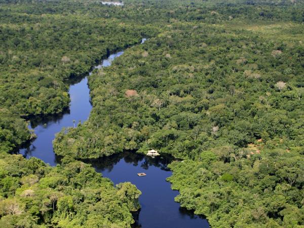 Jaguar safari in Brazil, private departure