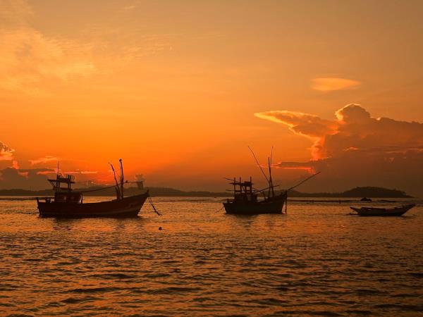 Sri Lanka blue whale holiday