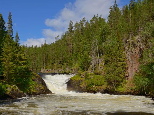 Summer holiday in Finland