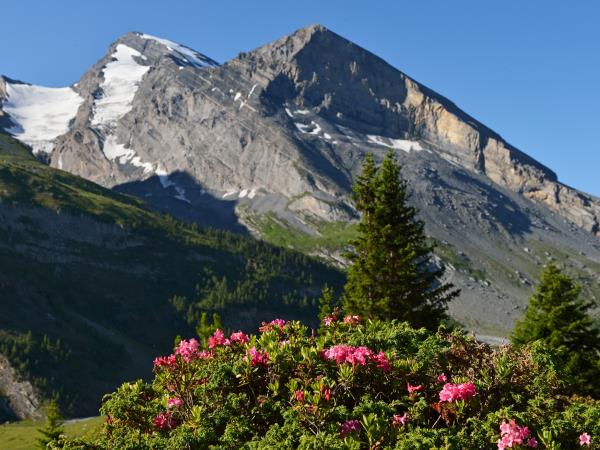 Switzerland holiday by rail