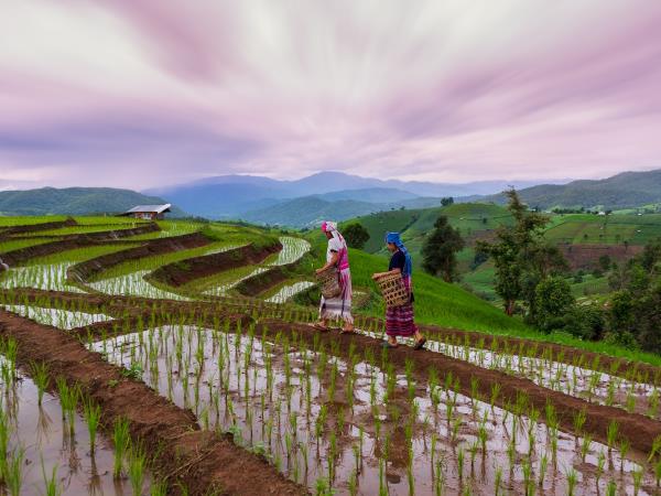 South East Asia food holiday, private departure