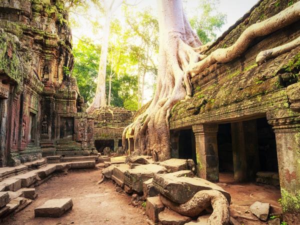 South East Asia food holiday, private departure