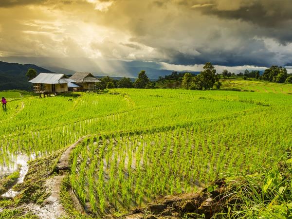 Thailand private tour, culture, cuisine & beaches