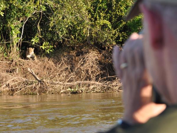 Pantanal wildlife holiday in Brazil