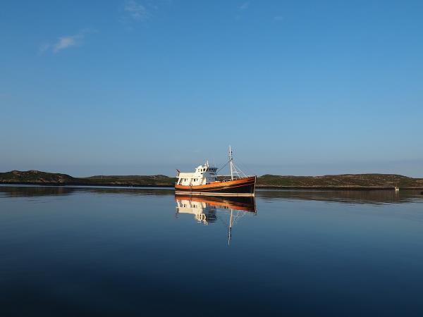 South Argyll wildlife cruises in Scotland
