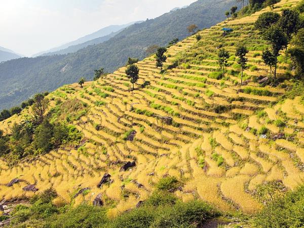 Annapurna Circuit holiday, Nepal