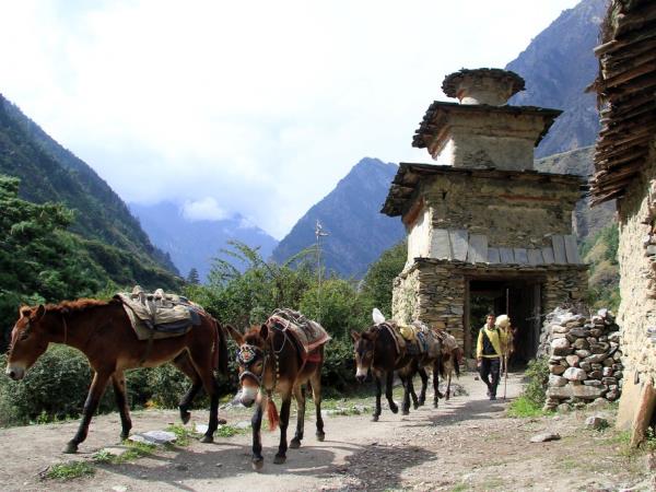 Annapurna Circuit holiday, Nepal