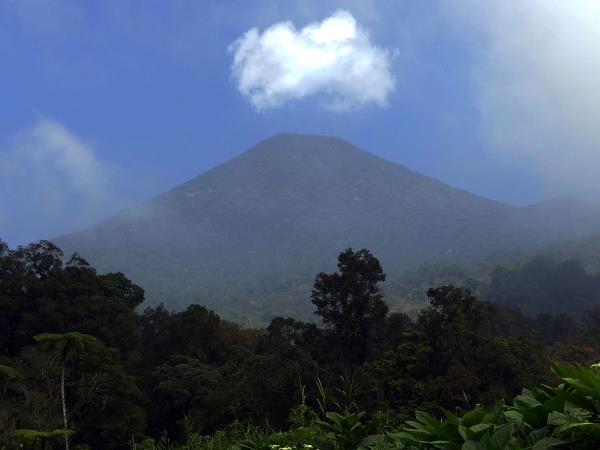 Indonesia wildlife holiday, mammals of Java