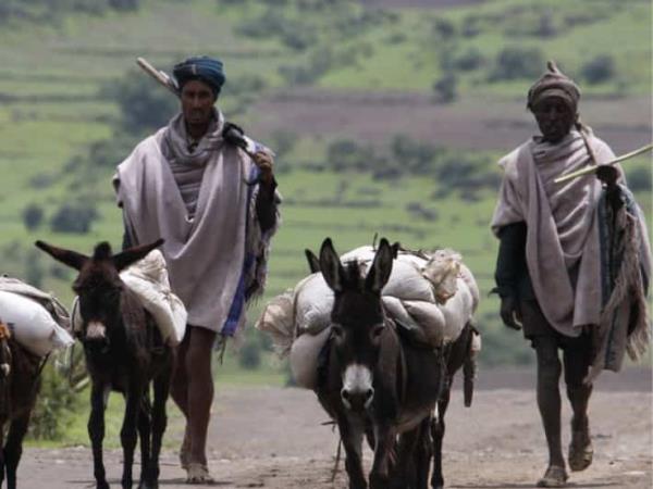 Bale Mountains holiday in Ethiopia