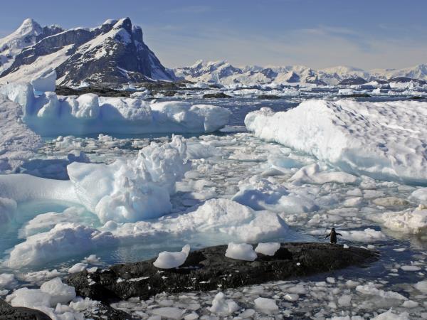 Classic Antarctica holiday