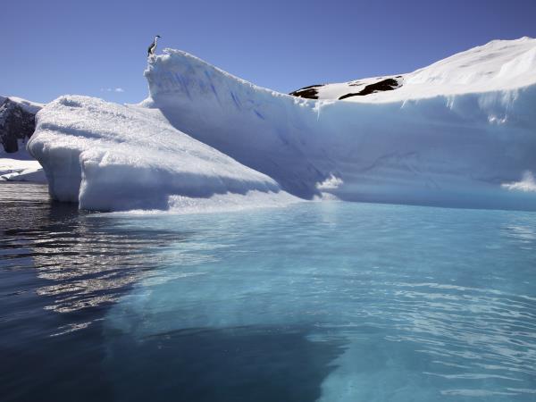 Classic Antarctica holiday