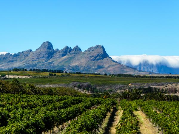 Cape town to Victoria Falls holiday