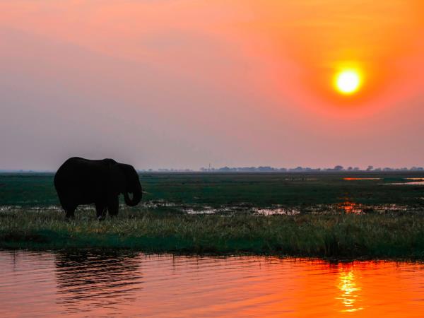 Cape town to Victoria Falls holiday