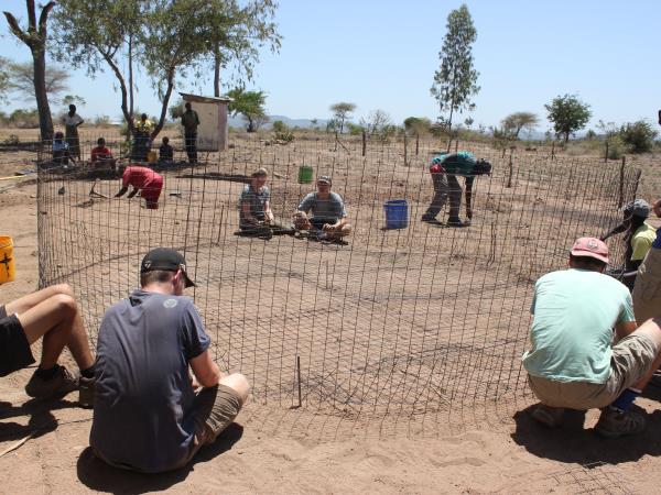 Tanzania volunteering and safari