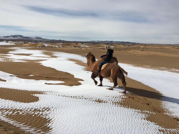 Mongolia nomad horse riding holiday