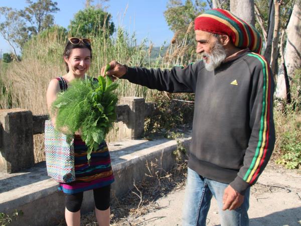 Nutritional food holiday in the Peloponnese