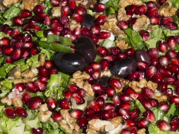 Nutritional food holiday in the Peloponnese
