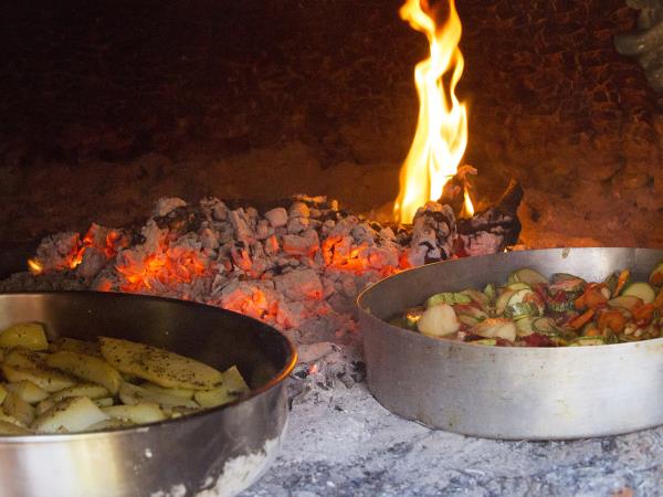 Nutritional food holiday in the Peloponnese