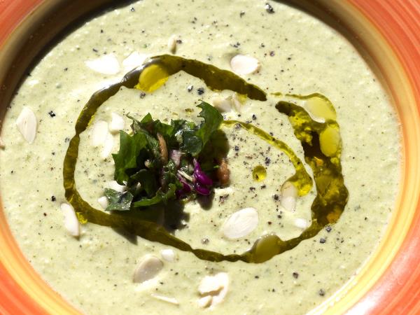 Nutritional food holiday in the Peloponnese