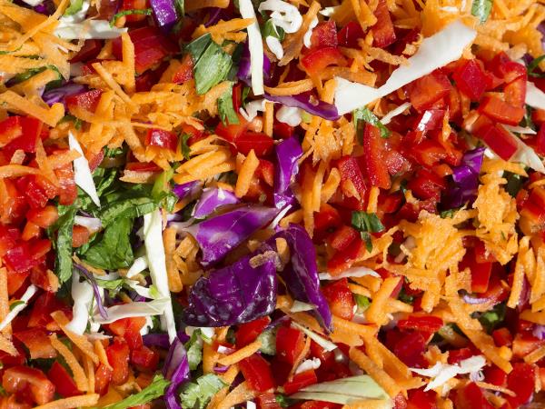 Nutritional food holiday in the Peloponnese