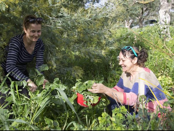 Nutritional food holiday in the Peloponnese