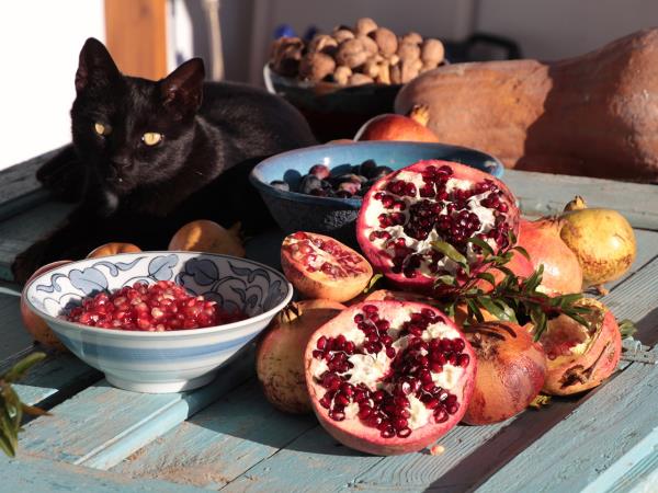 Vegetarian cuisine holiday in Greece