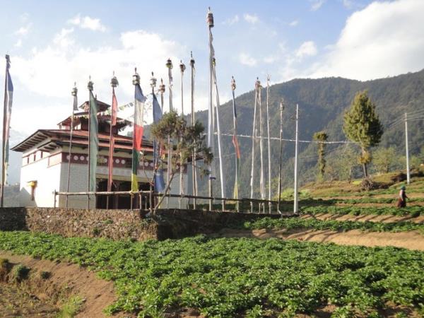Helambu trekking holiday in Nepal