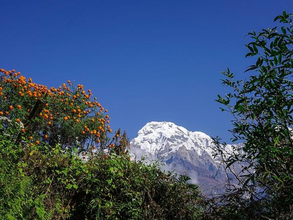 Helambu trekking holiday in Nepal