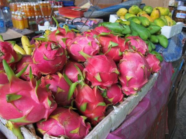 Laos budget holiday