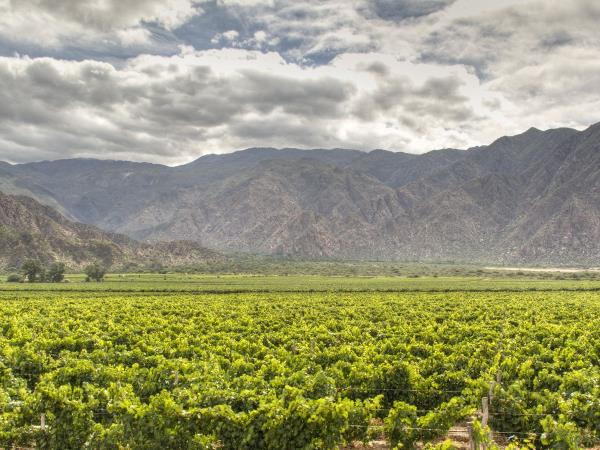 Argentina holidays, best of northwest Argentina