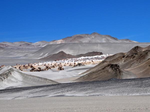 Northern Argentina holiday