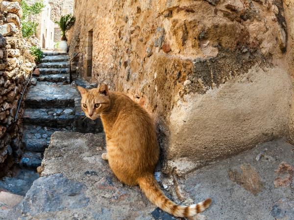 Peloponnese holiday in Greece, Mani & Laconia