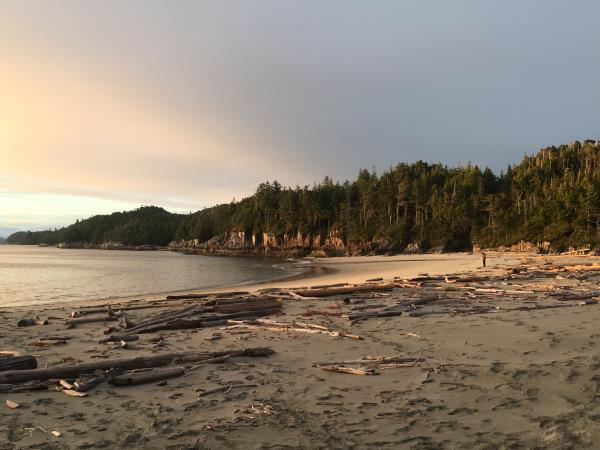 Great Bear Rainforest kayaking holiday